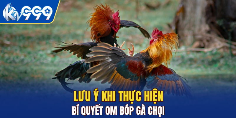 Lưu ý khi thực hiện bí quyết om bóp gà chọi